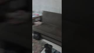 Asıl Mesele Arap Olmak Değil Yeğen Asıl Mesele Araplarla Dans Etmektir