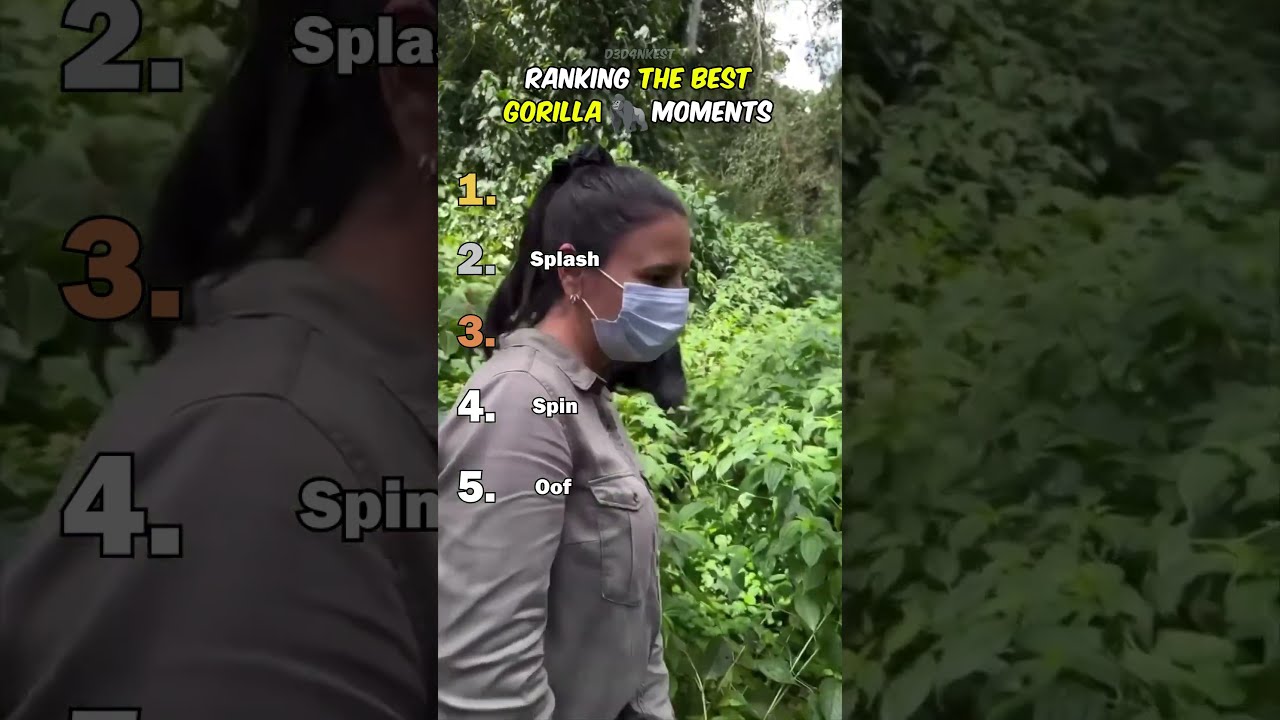 Ranking Best Gorilla Moments