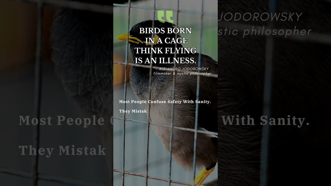 You Were Born To Break Rules | Cage Break Reel | ISTCKonnect