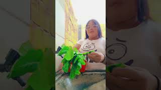 #amocomer RÚCULA E ALFACE PRA MINHA DIETA
