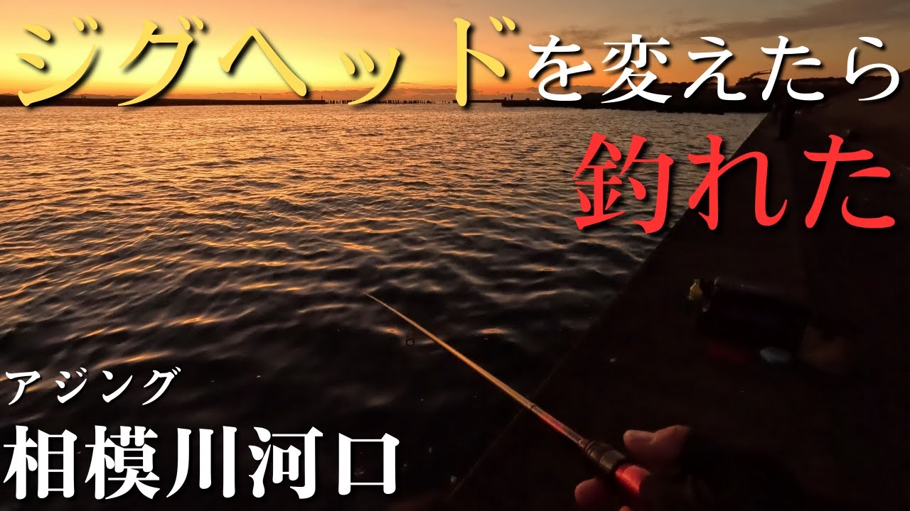 相模川河口】釣りたいのにバレる。ジグヘッドを変えてみたら釣れた