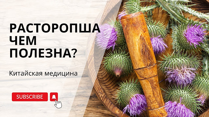 Главное растение для печени и не только. Святой чертополох или РАСТОРОПША | Нина Лян