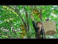 Making Star Fruit Jam (Carambola) &amp; Cooking Food with Star Fruit