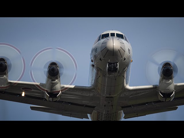 TOMYTEC⭐︎P-3C AC303第2航空隊(八戸基地) 技MIX 海上自衛隊 P-3C オライオン 第2航空隊 (八戸基地) トミー