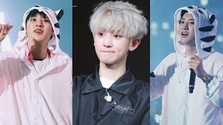 Chanyeol [EXO] Cute Edition | Kompilasi Tiktok | Edit By Exol
