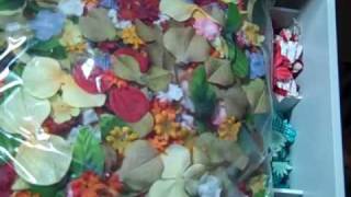 Video # 23 organizing Prima flowers.wmv