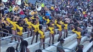 ASU Stingettes 2025 - (Stand Routine) Dum, Dumb, & Dumber (TXSU)