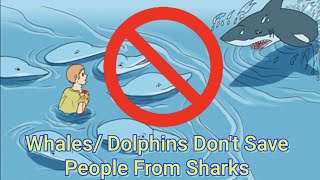 Whales/ Dolphins DONT Save People From Sharks (Re-upload)