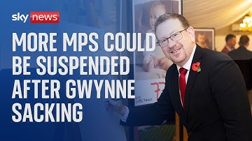 Labour MPs and members of WhatsApp group could be suspended after Gwynne sacking, govt says