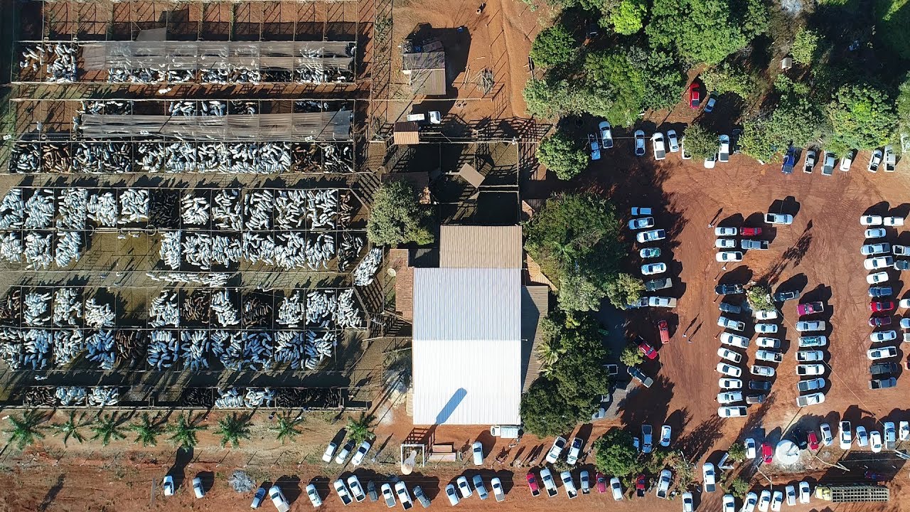 1º LEILÃO FAZ TERRA BOA E BURITI 2 - UNAÍ LEILÕES