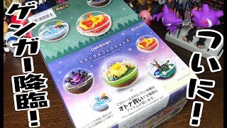 ゲンガーついに登場！「ポケモン テラリウムコレクション 第４弾」食玩箱買い開封レビュー