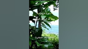 سورة الزّخْرُف(٥-١)Surah Az-zukhruf✨القرآن الكريم✨