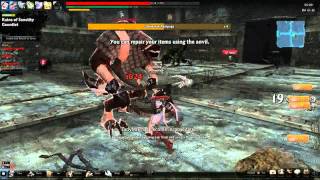 Vindictus EU Bloodshed Guild Gauntlet Run [Normal Mode]