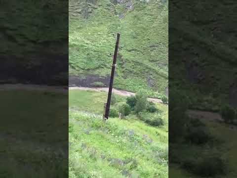 Видео Квардал