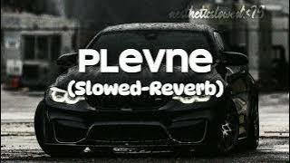 Plevne (slowed-reverb) Music MP3/ Turkish Song/aestheticslowed:79