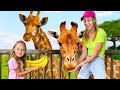 Maya feeds animals at the zoo  childrens song about a family trip