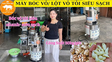Máy Bóc Vỏ (Lột Vỏ) Tỏi Siêu Nhanh Siêu Sạch 2024