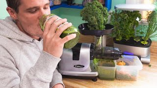 Making My Outstanding Organic Green Juice! (Omega J8006HD) by Veggie Pilot 5,907 views 4 years ago 5 minutes, 50 seconds