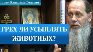 Грех ли усыплять животных?