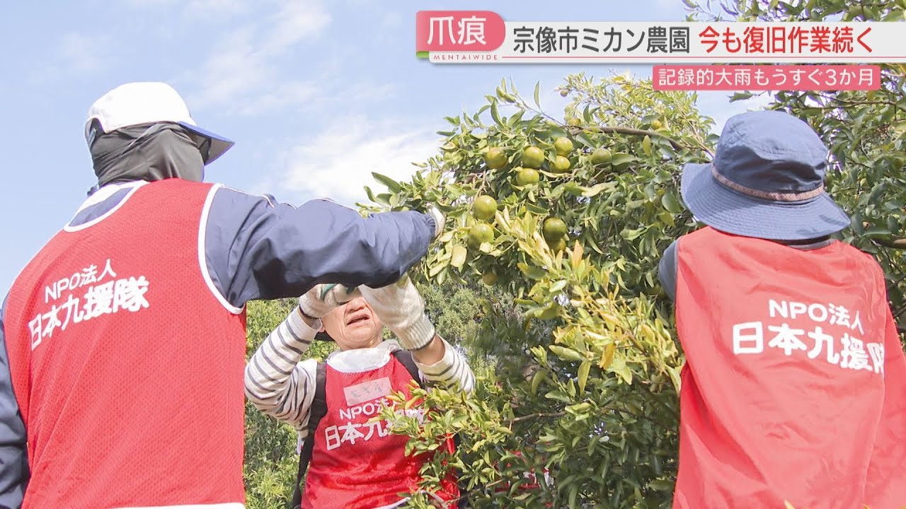 爪痕】記録的な大雨から3か月 ミカン農園への新たな道がようやく完成
