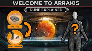 Welcome to Arrakis  Dune Lore Explained (History, Factions, Planetology)