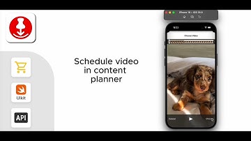 Pin Video Downloader & Planner - iOS Swift source code