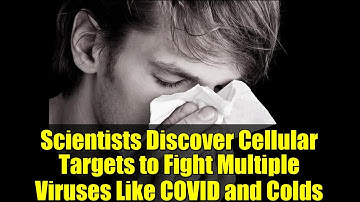 Scientists Discover Cellular Targets to Fight Multiple Viruses Like COVID and Colds