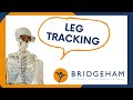 Leg Tracking