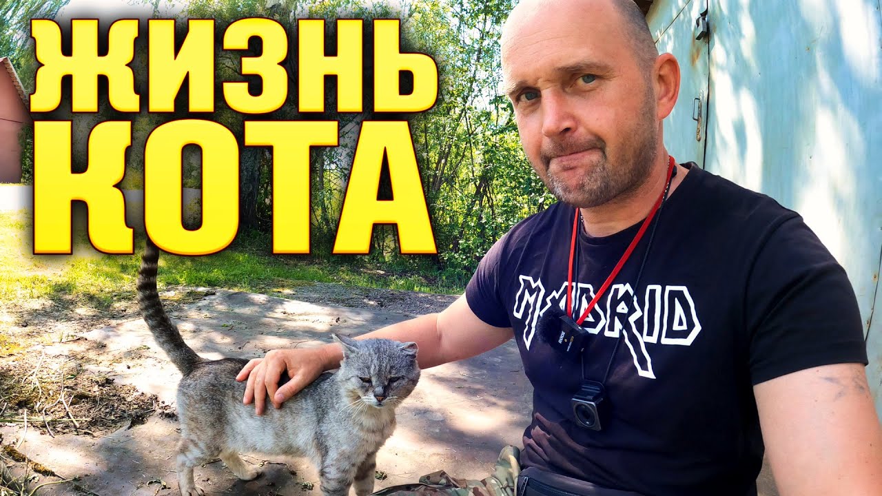 Замена свечей накала SsangYong. Жизнь кота. - YouTube