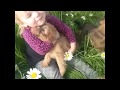 Cute Video of a Toddler Cuddling with Wheaten Pups from Celebritypups.com