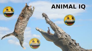 #Pet #Videos So Funny You Will Laugh! by Pet Comedy 31 views 1 year ago 3 minutes, 56 seconds