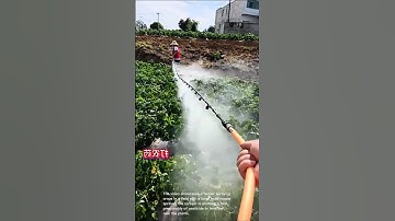 Spraying crops in the field: a farmer