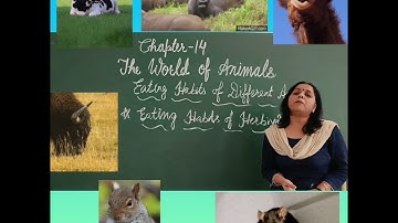 Class 3 EVS Chapter 14 Part 1