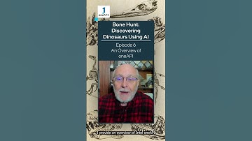 An Overview of oneAPI | Bone Hunt: Discovering Dinosaurs Using AI | Intel Software
