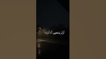 ﴿وَقالوا لَولا أُنزِلَ عَلَيهِ آياتٌ مِن رَبِّهِ﴾القارئ عبدالرحمن مسعد