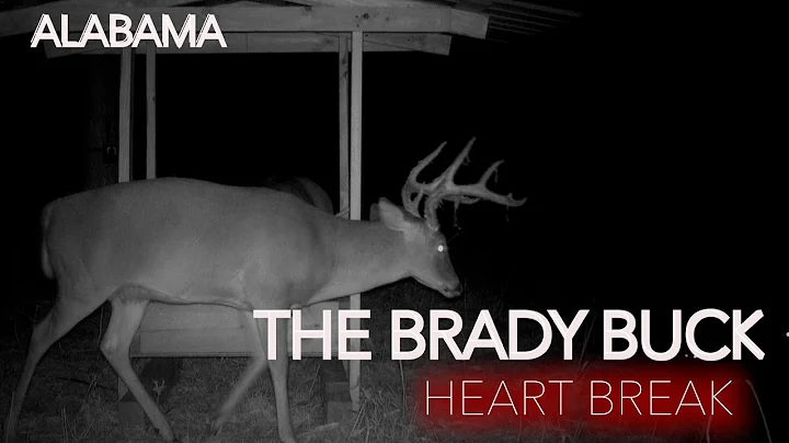 BAMA BUCK HEARTBREAK / GIANT ALABAMA BUCK / SOUTHERN HUNTING