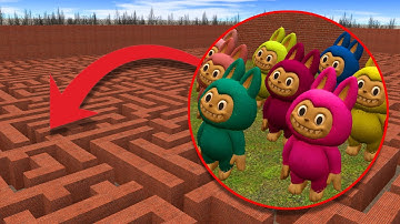 I GOT SOME NEW COLORFUL LABUBU IN BIG MAZE In Garry