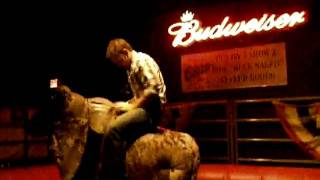 Picture 341.avi