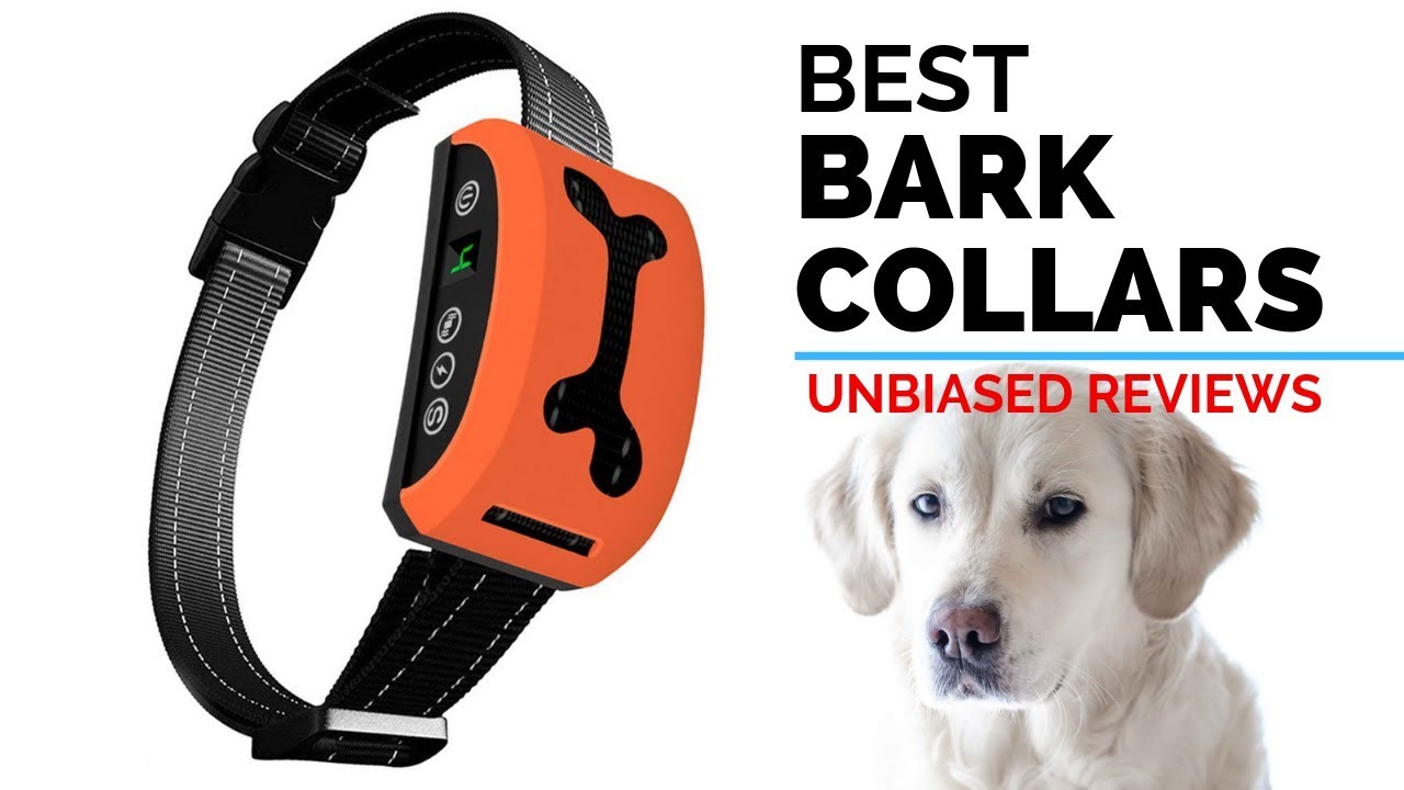top rated bark collar