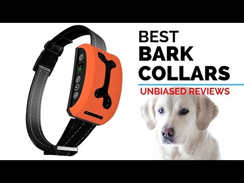10-best-bark-collars-|-most-popular-dog-bark-collars-of-2020