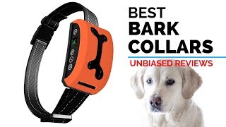 shock collar for thick fur