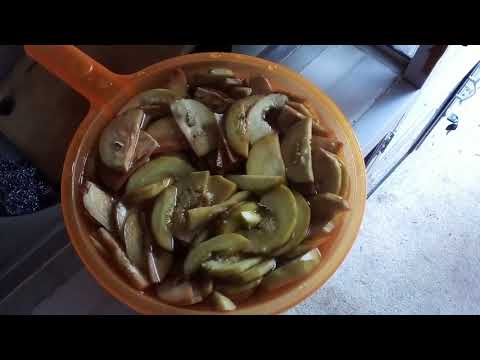 Masak Terung Masam | Ada juga yang menyebutnya Terung Benar | Masakan Suku Dayak Masak Terung Masam | Ada juga yang menyebutnya Terung Benar | Masakan Suku Dayak