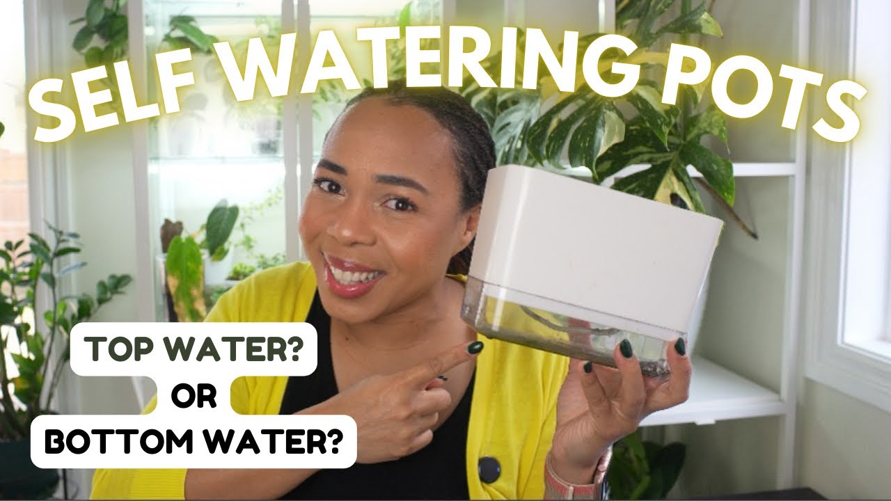 💦ГЛУБОКОЕ ПОГРУЖЕНИЕ в горшки с автополивом, вопросы и ответы, а также покупки на Amazon