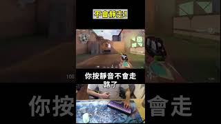 🐢龜狗🐢不會靜走!