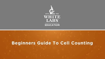Beginners Guide to Cell Counting