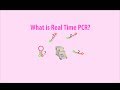 Real Time PCR - Basic simple animation - part 1 intro HD