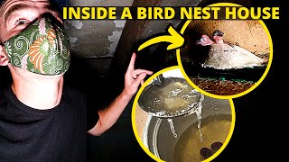 First time trying BIRD NEST (Asian delicacy): Why bird nest is so EXPENSIVE? - MALAYSIA FOOD VLOG