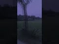 কেমন আছো 🥰 