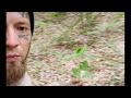 Plant walk