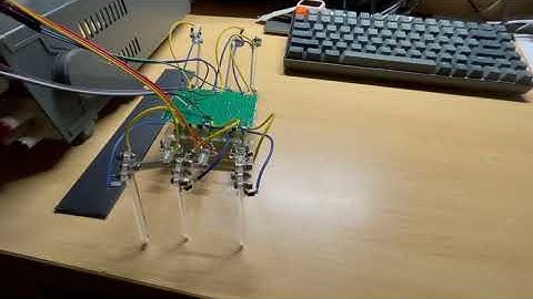 Hexapod robot actuated by SMA wires